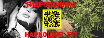 гашик Малгобек