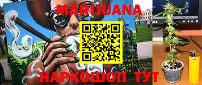 гашик Малгобек