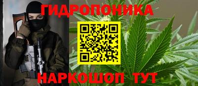 гидра Каменск-Уральский