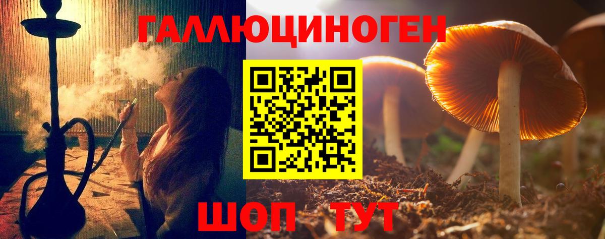 Псилоцибиновые грибы Magic Shrooms  Вход с VPN  как найти   Ижевск 