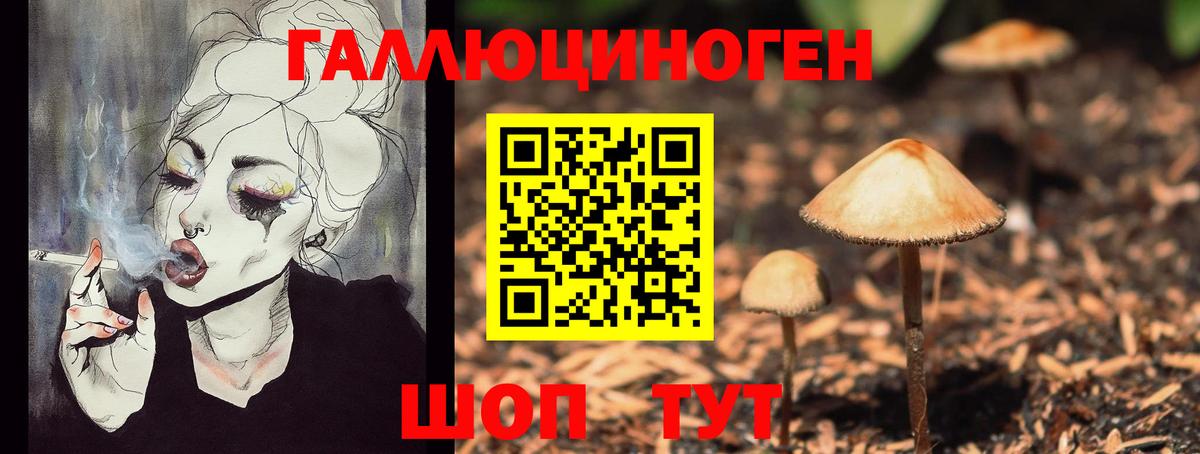 Псилоцибиновые грибы Psilocybine cubensis Ижевск